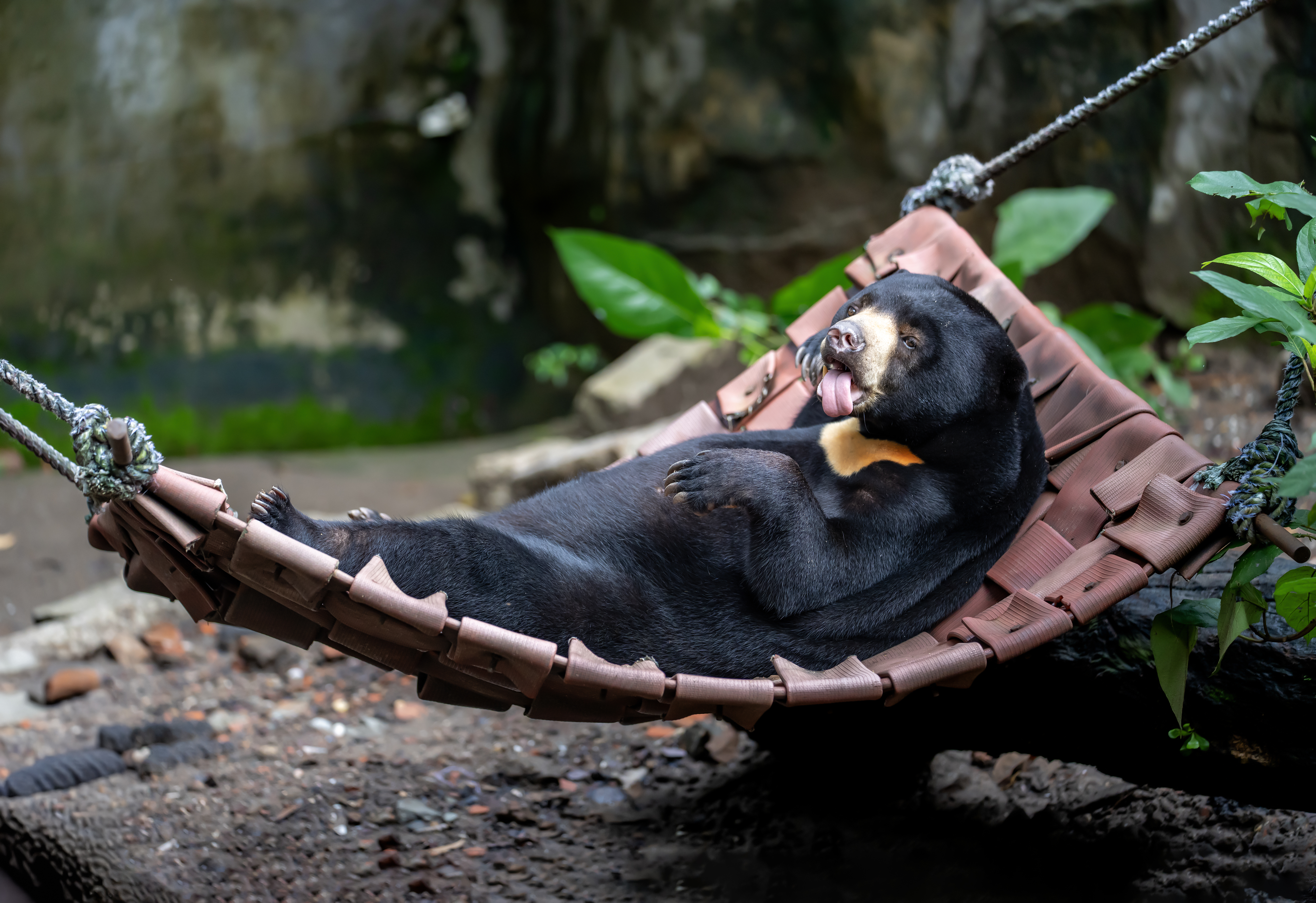 Trường Đinh (21)