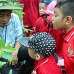 Vé cổng người lớn và trẻ em_5