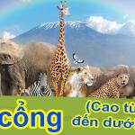 Vé cổng người lớn và trẻ em_0