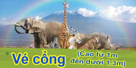 Vé cổng người lớn và trẻ em