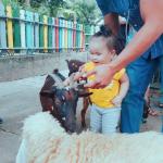 Vé cổng người lớn và trẻ em_2