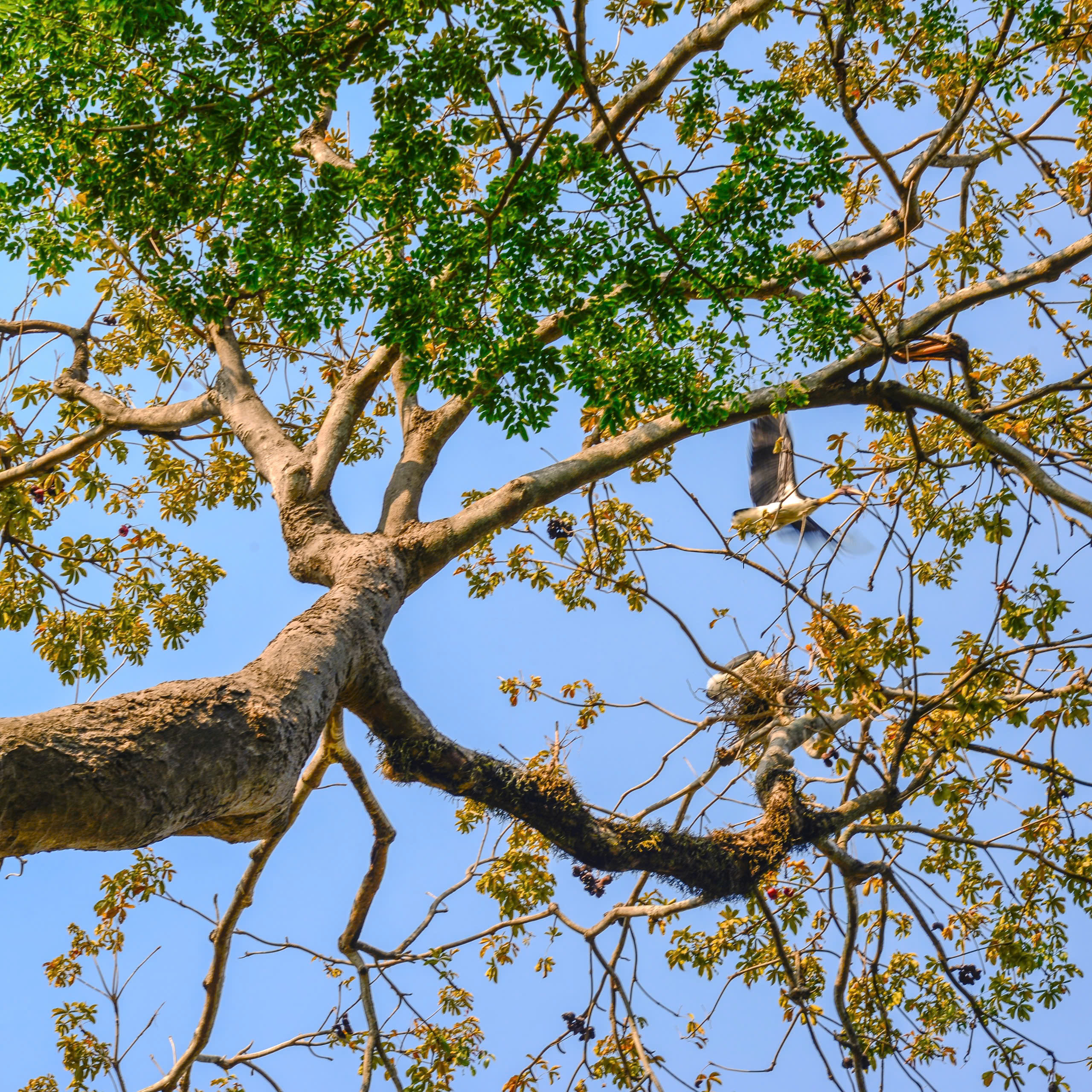 160 Năm Hình Thành & Phát Triển 3