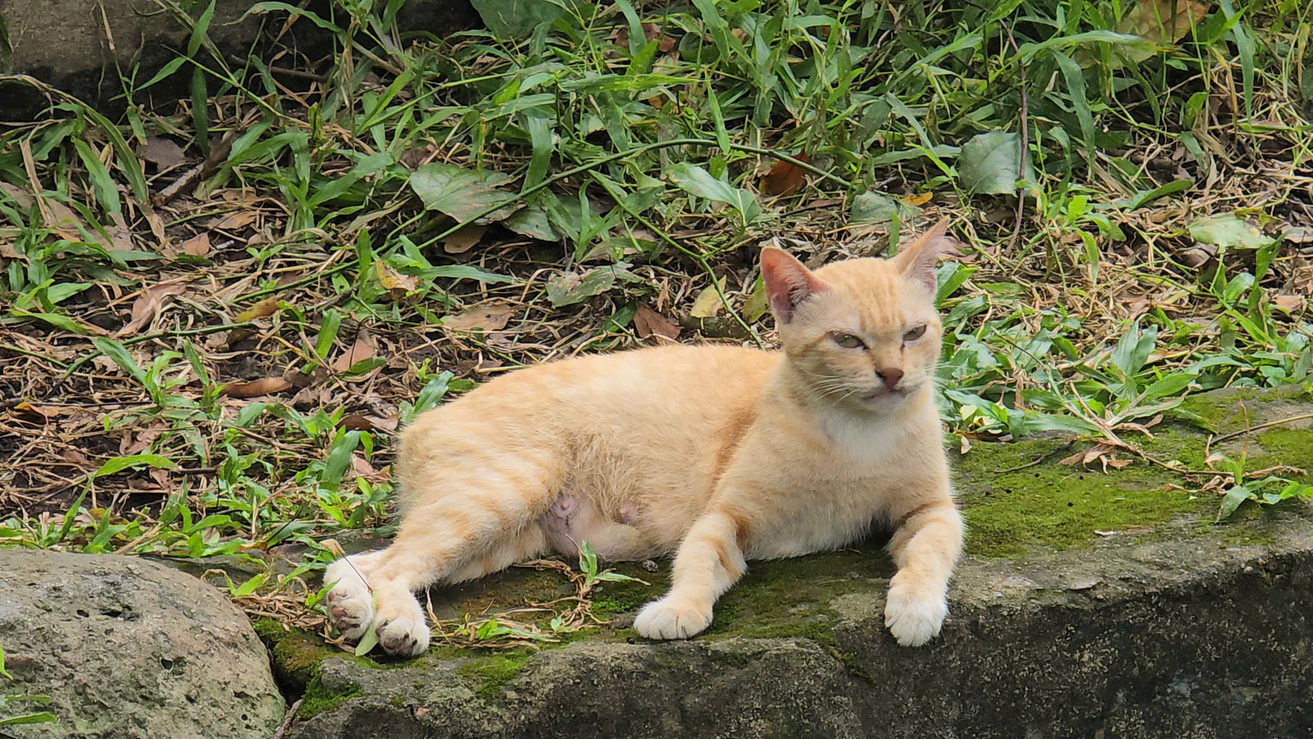 z7254105179999_7c44b2c476c67e3d409daf2d1b825cfb