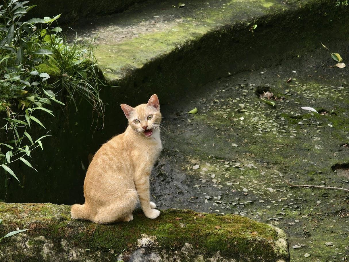 z7254109439592_9cc628edeab0a52a7f1b1080a761d73b