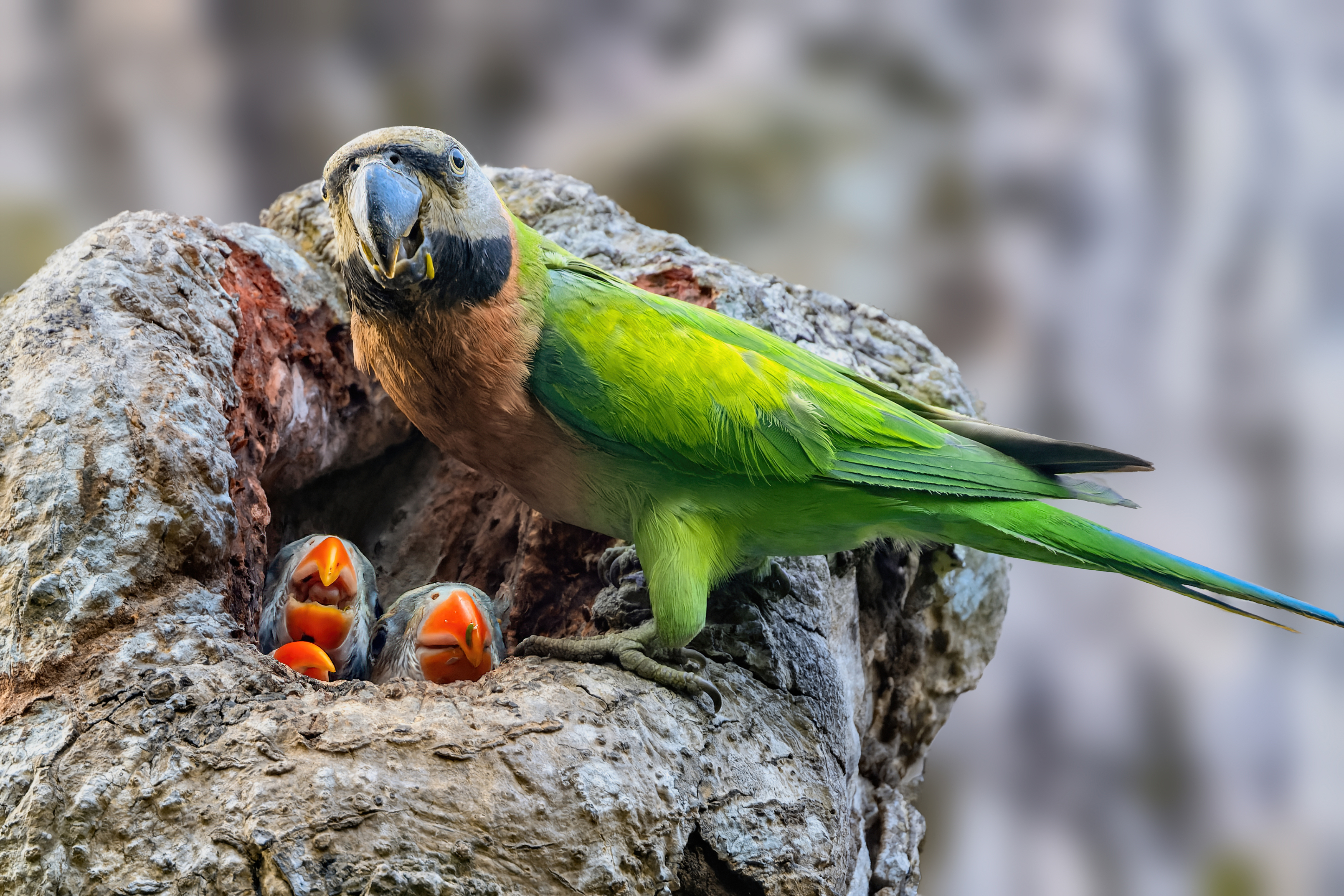 160 Năm Hình Thành & Phát Triển 11