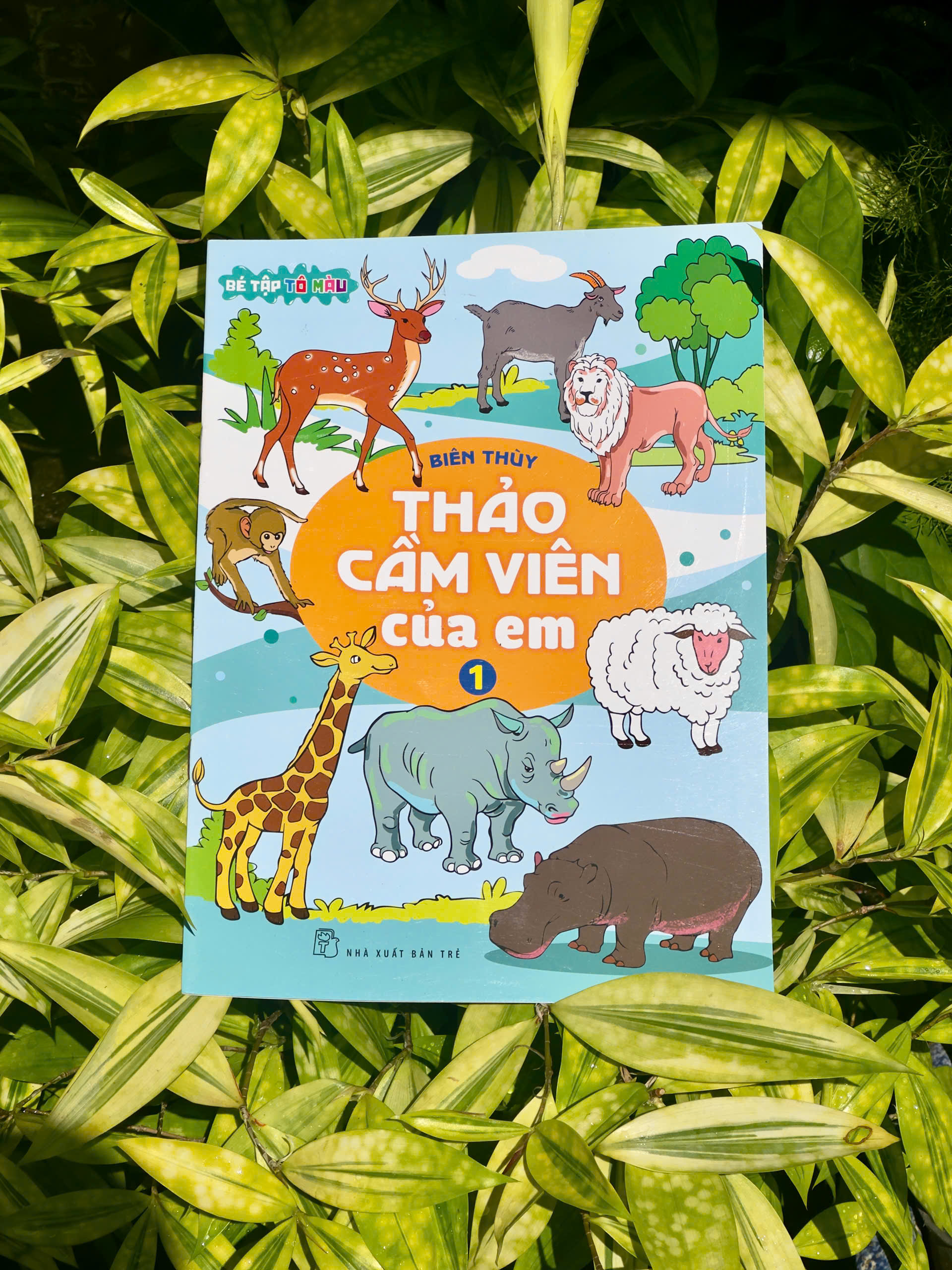 Ảnh chính 📘 BỘ SÁCH TÔ MÀU "THẢO CẦM VIÊN CỦA EM"