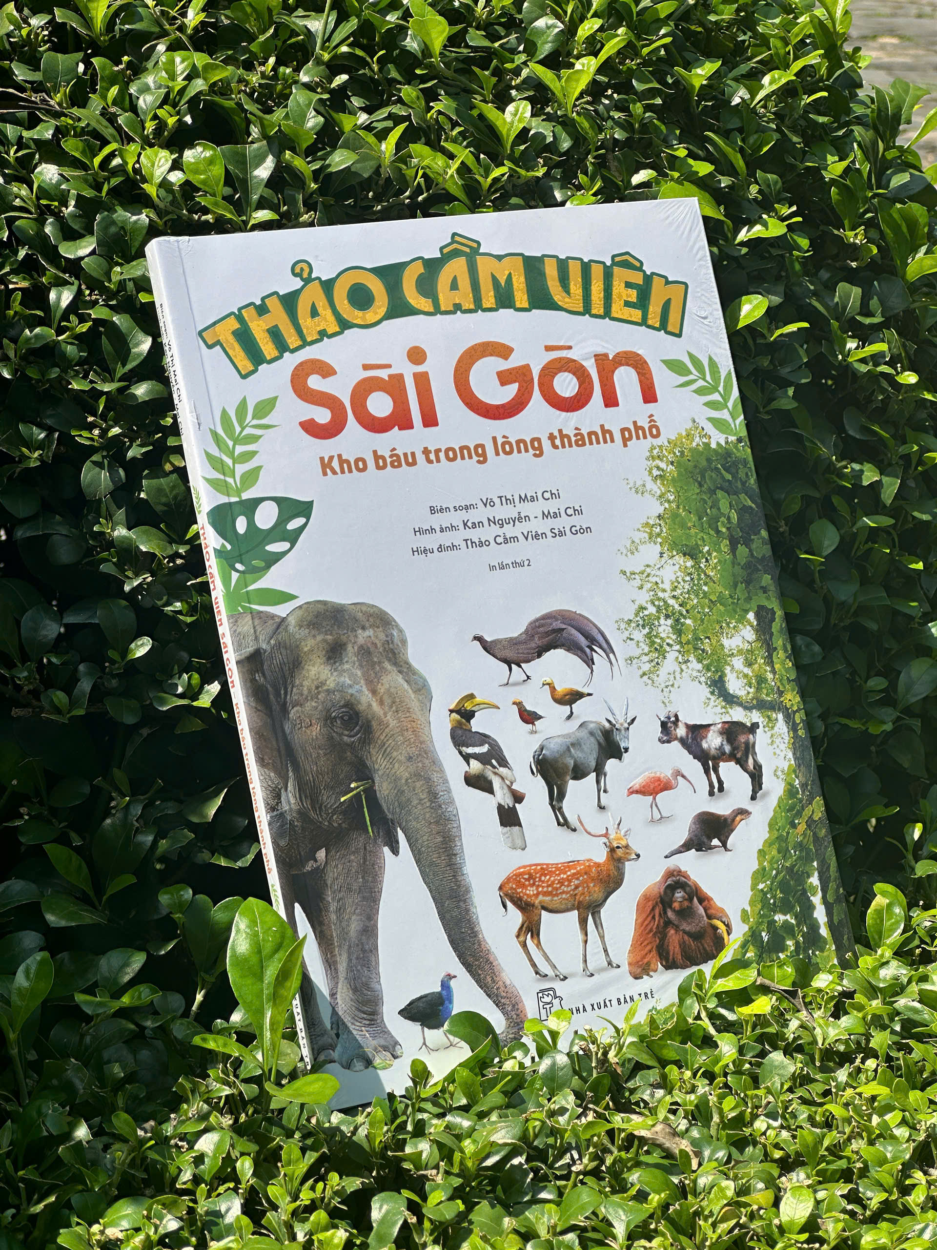 160 Năm Hình Thành & Phát Triển 10