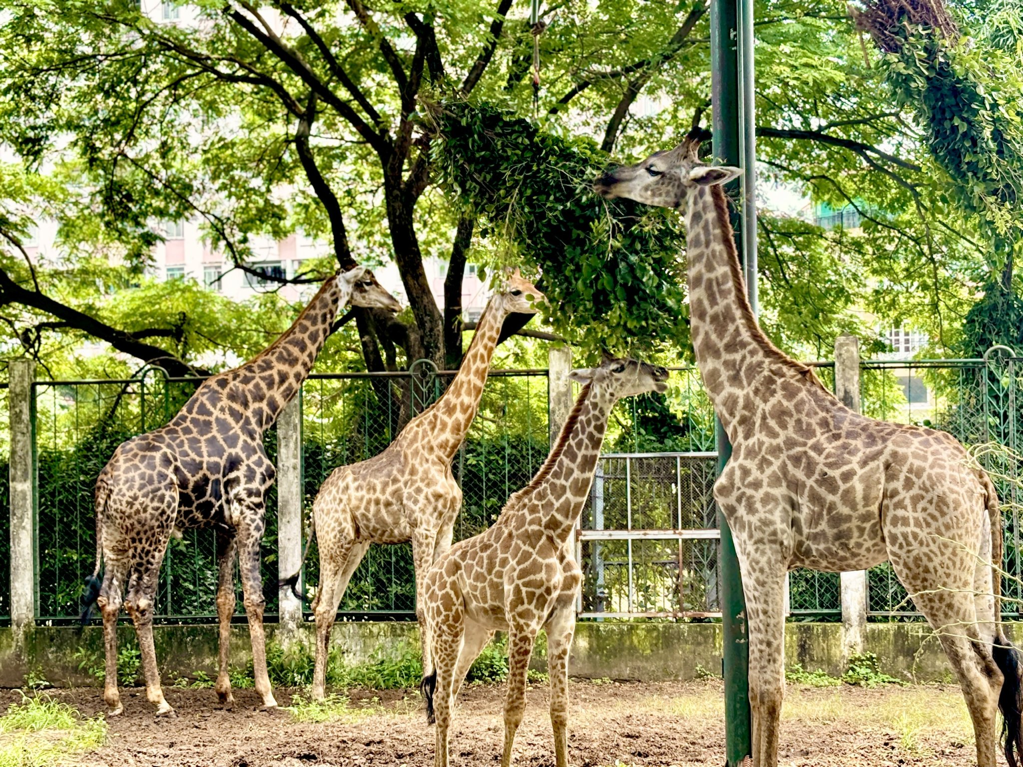 z7577923867786_102d6786c6a82fe83e7573164e3031c2