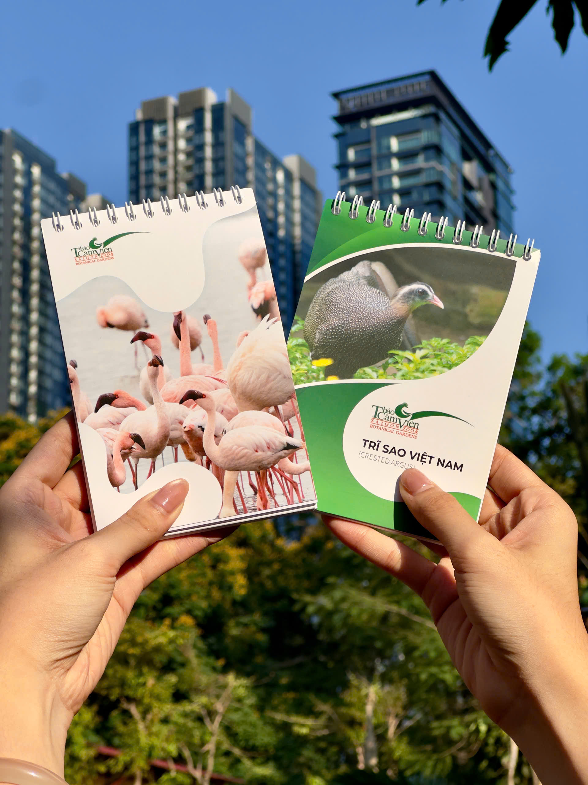 Ảnh chính 📓 SỔ TAY TCV – LƯU GIỮ KHOẢNH KHẮC XANH