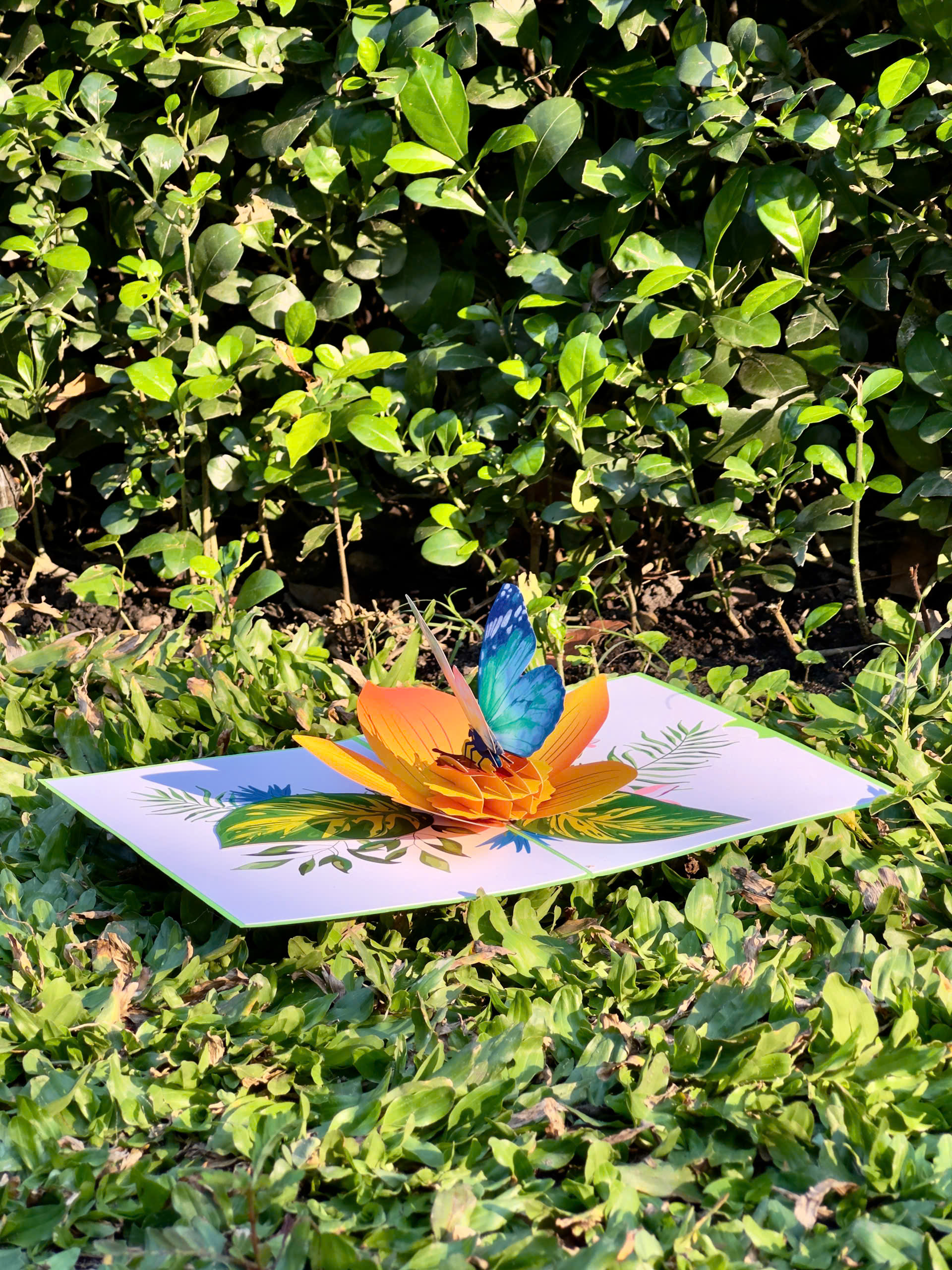 Ảnh chính Thiệp nổi 3D