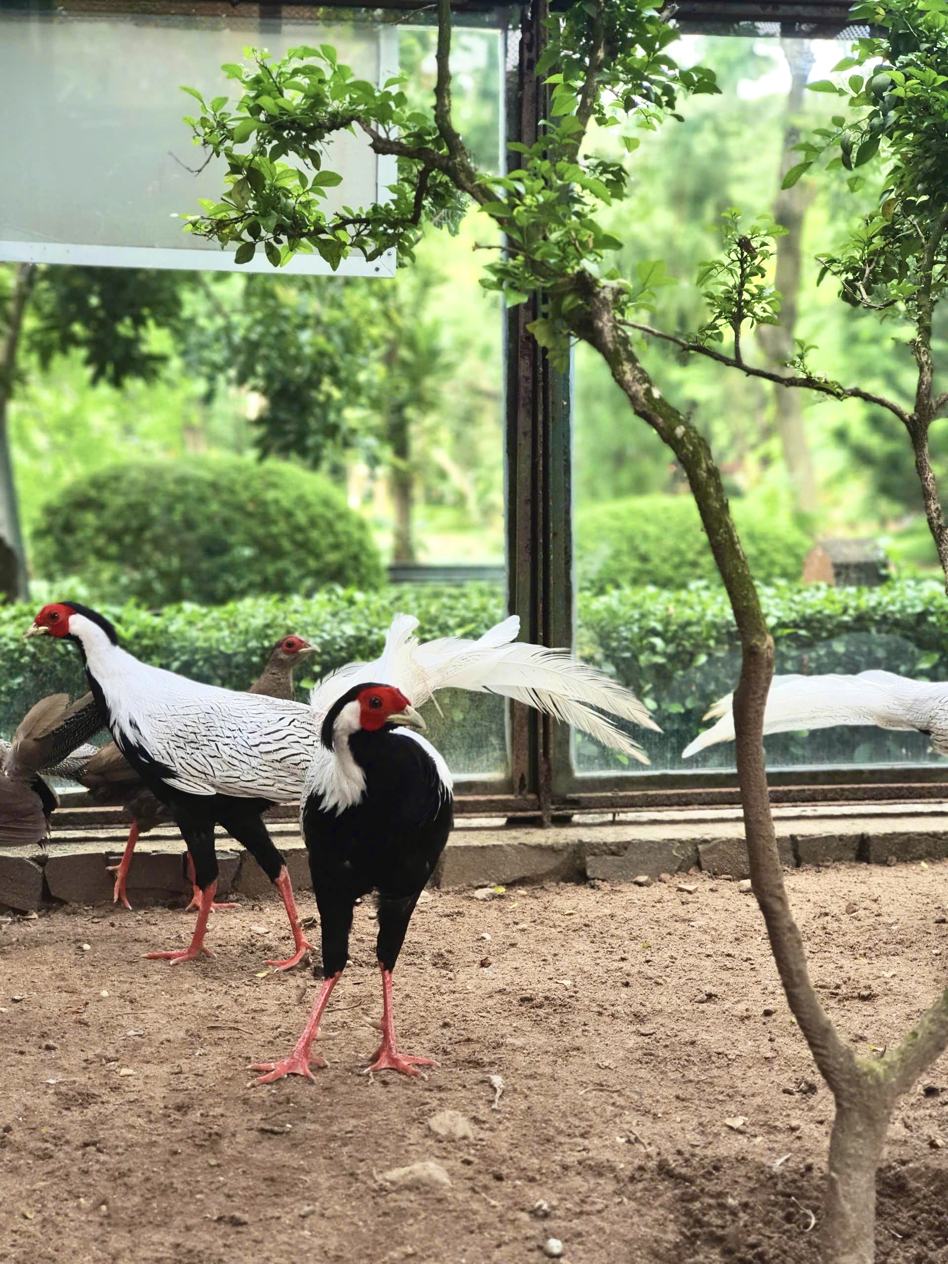 160 Năm Hình Thành & Phát Triển 2