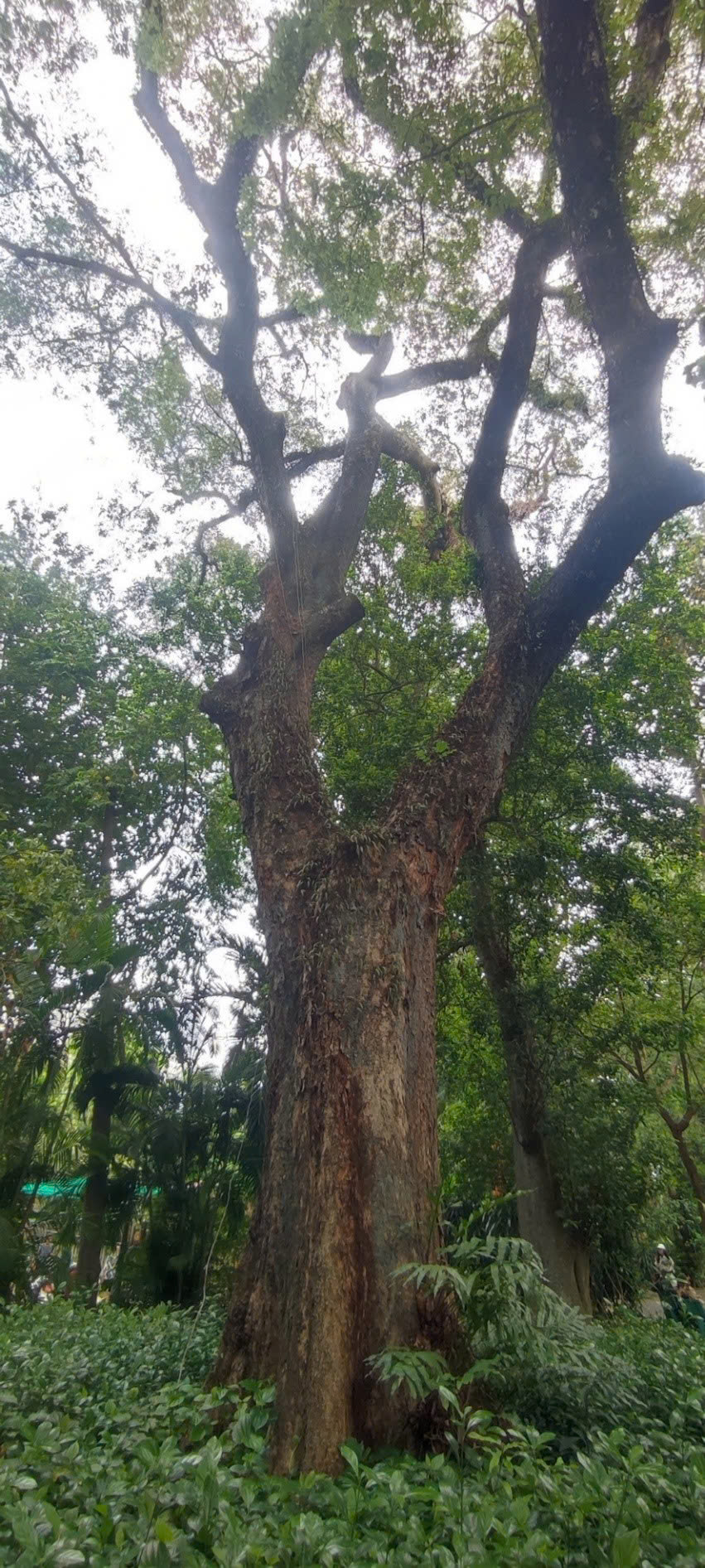 z7635357646194_348df71a800cc967e86615e45a70f95a