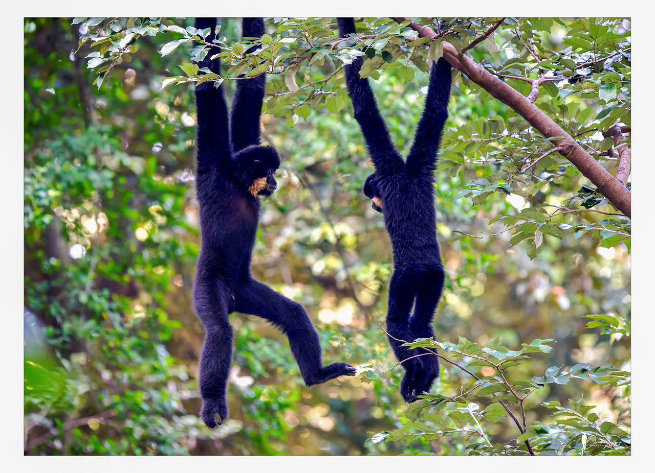 z7635361149979_bad3602db0577114d615e0350426fecb