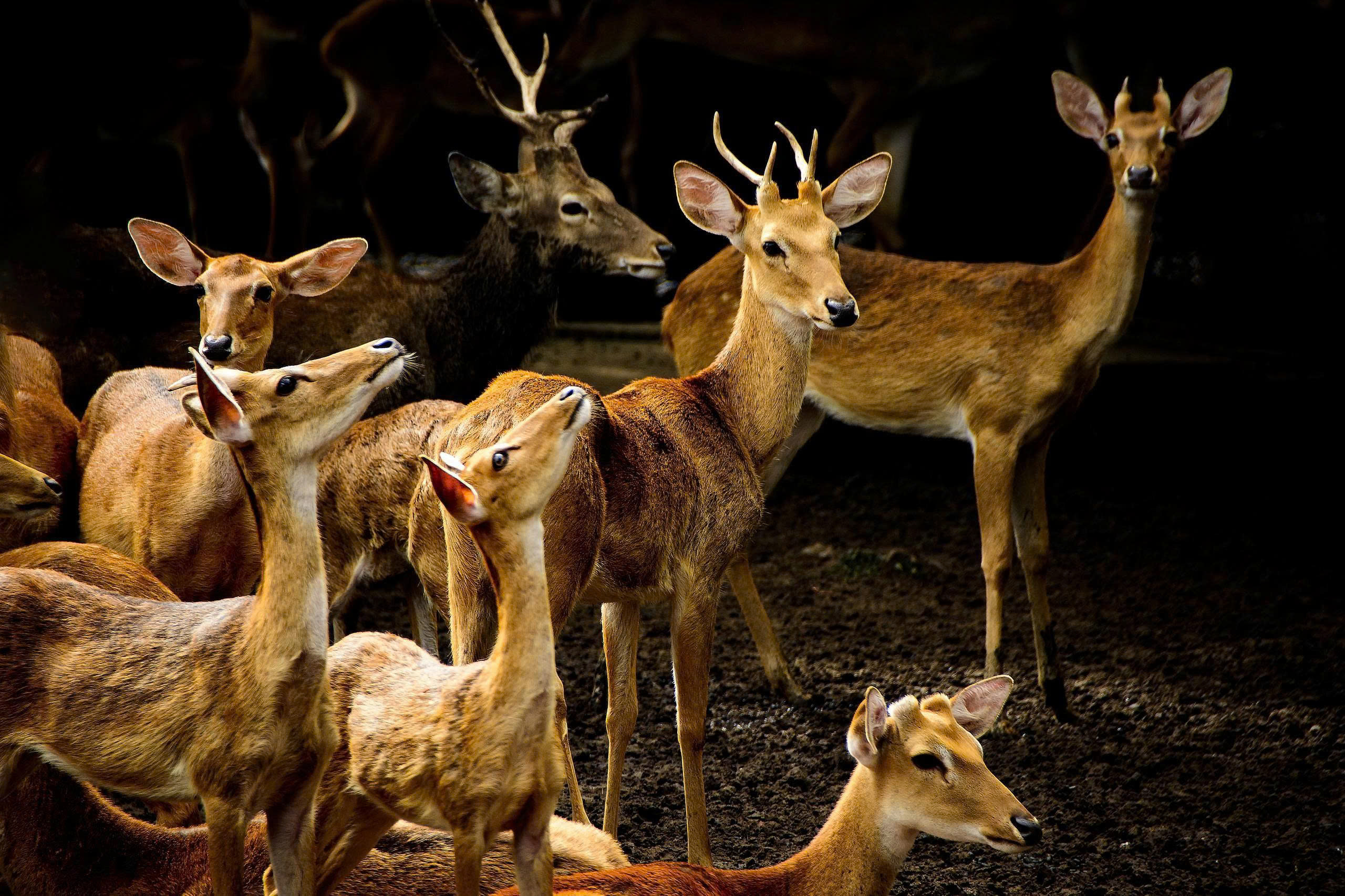 z7635364423510_3df36825ac31f04e00d152cd97627fa4