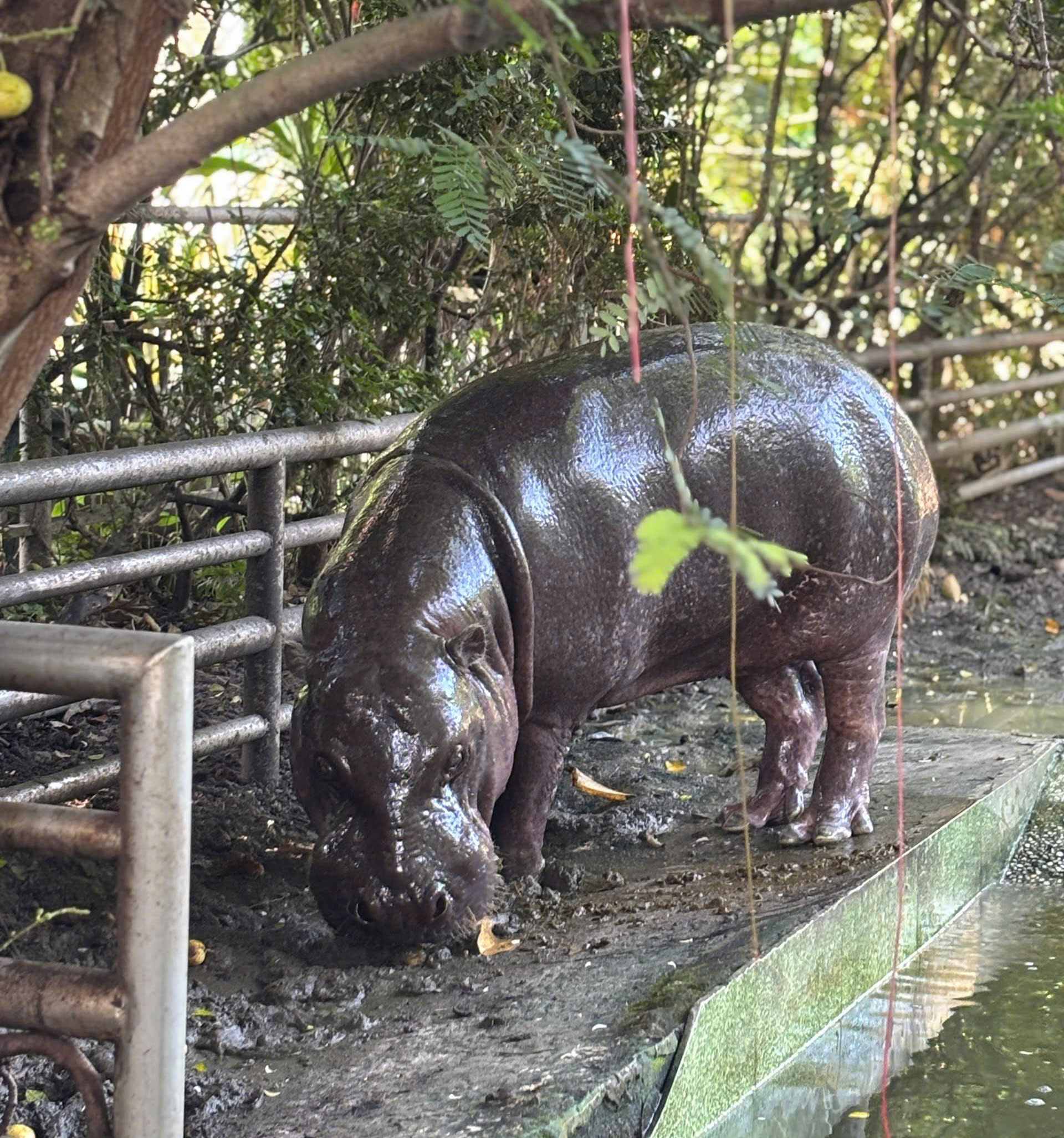 z7636699436000_934bf8bbaad894cb8722b7cad8b58cc4-1